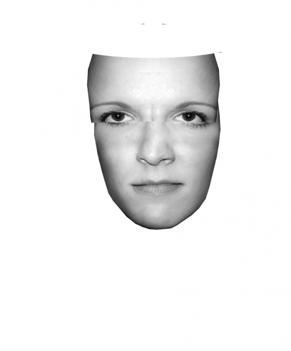 Creation of keep my head way up high: Step 2